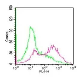 Anti-sRANKL antibody [12A380] used in Flow cytometry (FCM). GTX12125