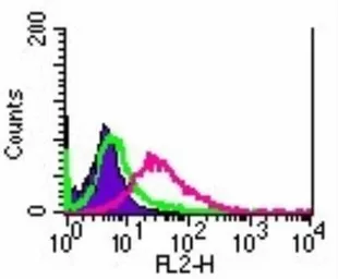 Anti-sRANKL antibody [12A380] used in Flow cytometry (FCM). GTX12125