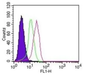 Anti-IKB alpha antibody [6A920] used in Flow cytometry (FCM). GTX12134