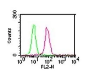 Anti-IKK alpha antibody [14A231] used in Flow cytometry (FCM). GTX12138