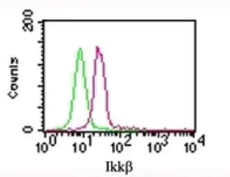 Anti-IKK beta antibody [10AG2] used in Flow cytometry (FCM). GTX12139