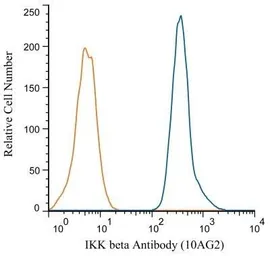 Anti-IKK beta antibody [10AG2] used in Flow cytometry (FCM). GTX12139