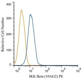 Anti-IKK beta antibody [10AG2] used in Flow cytometry (FCM). GTX12139