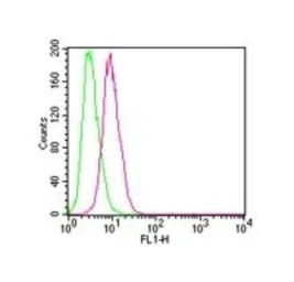 Anti-IKK beta antibody [10AG2] used in Flow cytometry (FCM). GTX12139