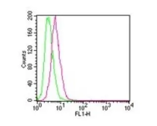 Anti-IKK beta antibody [10A9B6] used in Flow cytometry (FCM). GTX12140