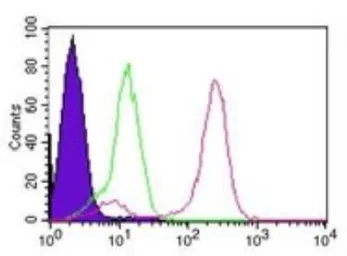 Anti-IKK gamma antibody [46B844] used in Flow cytometry (FCM). GTX12141
