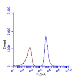 Anti-SQSTM1 / P62 (phospho Ser403) antibody used in Flow cytometry (FACS). GTX128171