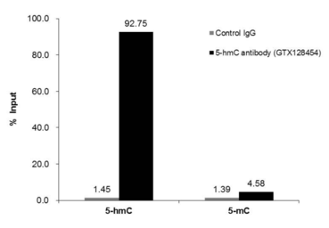 Anti-5-Hydroxymethylcytosine / 5-hmC antibody used in Methylated DNA Immunoprecipitation (MeDIP). GTX128454