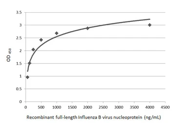 Anti-Influenza B virus Nucleoprotein antibody used in ELISA (ELISA). GTX128538