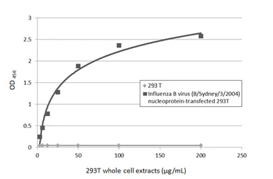 Anti-Influenza B virus Nucleoprotein antibody used in ELISA (ELISA). GTX128539