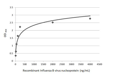 Anti-Influenza B virus Nucleoprotein antibody used in ELISA (ELISA). GTX128539
