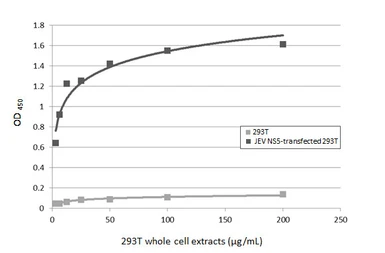 Anti-Japanese encephalitis virus NS5 antibody used in ELISA (ELISA). GTX131359