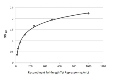 Anti-Tet Repressor antibody used in ELISA (ELISA). GTX131985