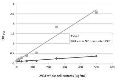 Anti-Zika virus NS1 protein antibody used in ELISA (ELISA). GTX133323