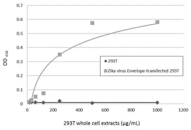 Anti-Zika virus Envelope protein antibody used in ELISA (ELISA). GTX133325