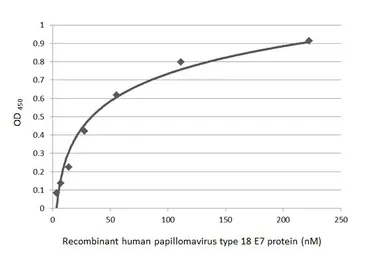 Human Papillomavirus type 18 E7 protein, His tag. GTX133412-pro