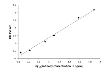 Anti-Agmatine antibody used in ELISA (ELISA). GTX134713