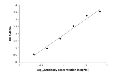 Anti-beta-Hydroxy-GABA antibody used in ELISA (ELISA). GTX134714