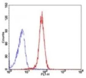 Anti-TRF2 antibody [4A794.15] used in Flow cytometry (FCM). GTX13579