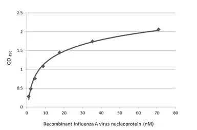 Influenza A virus Nucleoprotein (A/WSN/1933 (H1N1)), DDDDK Tag. GTX135868-pro