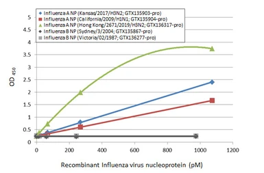 Influenza A virus Nucleoprotein (A/Kansas/2017/H3N2), DDDDK Tag. GTX135903-pro