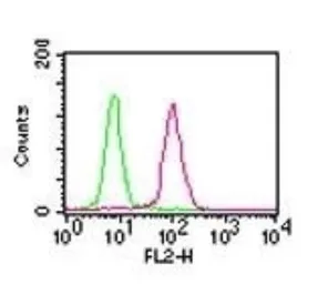 Anti-NFkB p65 antibody [112A1021] used in Flow cytometry (FCM). GTX13594