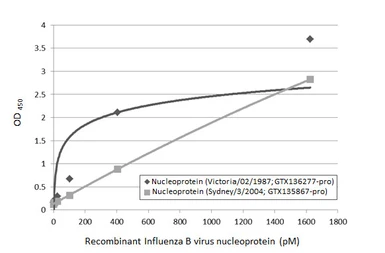 Influenza B virus Nucleoprotein (B/Victoria/02/1987), DDDDK Tag. GTX136277-pro