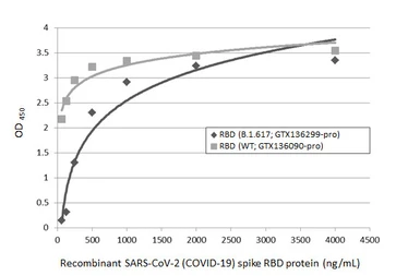 SARS-CoV-2 (COVID-19) Spike RBD Protein, B.1.617.1 / Kappa variant, His tag (active). GTX136299-pro