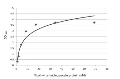 Nipah virus Nucleoprotein protein, His tag. GTX136331-pro
