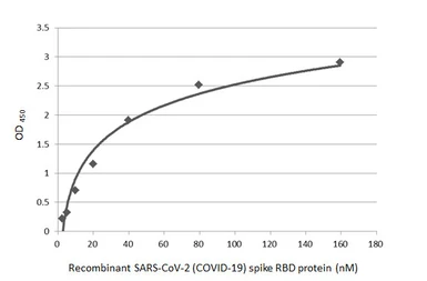 SARS-CoV-2 (COVID-19) Spike RBD Protein, Omicron / BA.1 variant, His tag. GTX136716-pro