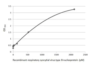 Respiratory Syncytial virus type B Nucleoprotein, DDDDK tag. GTX136931-pro