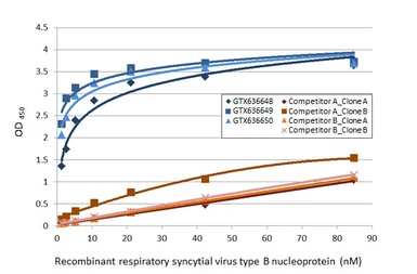 Respiratory Syncytial virus type B Nucleoprotein, DDDDK tag. GTX136931-pro
