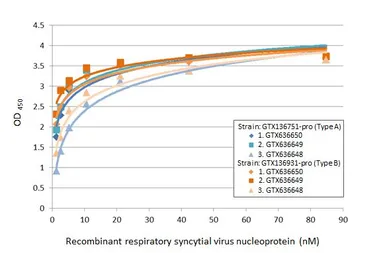 Respiratory Syncytial virus type B Nucleoprotein, DDDDK tag. GTX136931-pro
