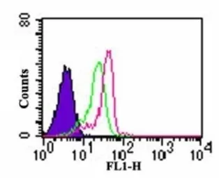 Anti-TLR7 antibody used in Flow cytometry (FCM). GTX13730