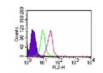Anti-TLR7 antibody used in Flow cytometry (FCM). GTX13732
