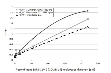 SARS-CoV-2 (COVID-19) Nucleocapsid protein, Omicron / BF.7 variant, His tag. GTX137882-pro