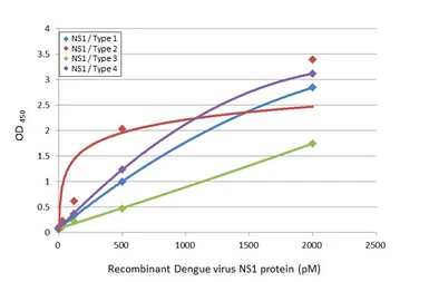 Dengue virus type 2 NS1 protein, His tag. GTX138150-pro