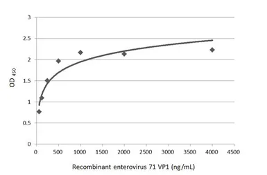 Enterovirus 71 VP1 protein, His tag. GTX138560-pro