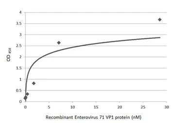 Enterovirus 71 VP1 protein, His tag. GTX138560-pro