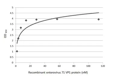 Enterovirus 71 VP1 protein, His tag. GTX138560-pro