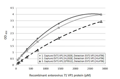 Enterovirus 71 VP1 protein, His tag. GTX138560-pro