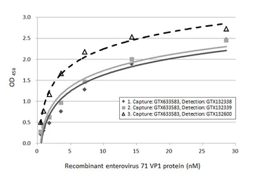 Enterovirus 71 VP1 protein, His tag. GTX138560-pro