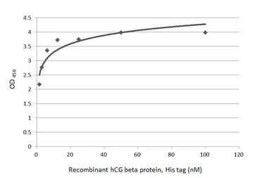 hCG beta protein, His tag. GTX138833-pro