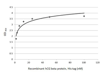 hCG beta protein, His tag. GTX138833-pro