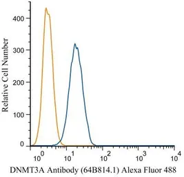 Anti-DNMT3A antibody [64B814.1] used in Flow cytometry (FCM). GTX13887