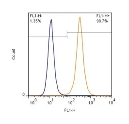 Anti-Lamin A + C antibody used in Flow cytometry (FCM). GTX13910