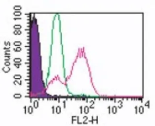 Anti-TLR3 antibody [40C1285.6] used in Flow cytometry (FCM). GTX13915