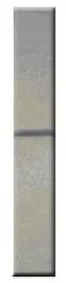 Anti-Calretinin antibody used in Western Blot (WB). GTX14689