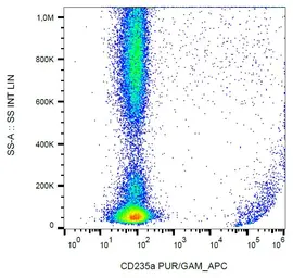 Anti-Glycophorin A antibody [HIR2] used in Flow cytometry (FCM). GTX15009