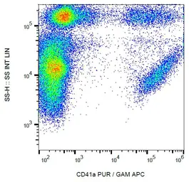 Anti-CD41 antibody [HIP8] used in Flow cytometry (FCM). GTX15021